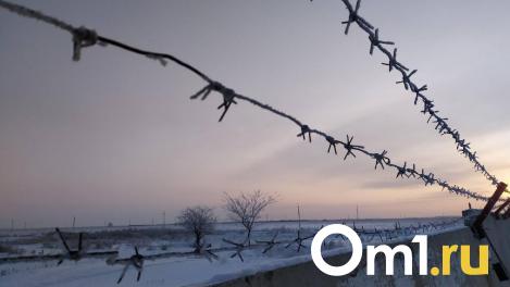 В Омске 18-летнего юношу будут судить за государственную измену