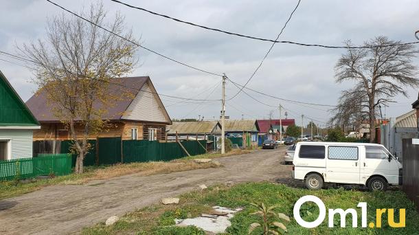 Частный сектор вечен: каждый день в Омске строят пять новых домов