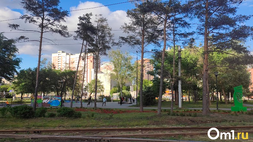 «Здесь будут мозги детей!»: общественники Новосибирска требуют закрыть скейт-парк