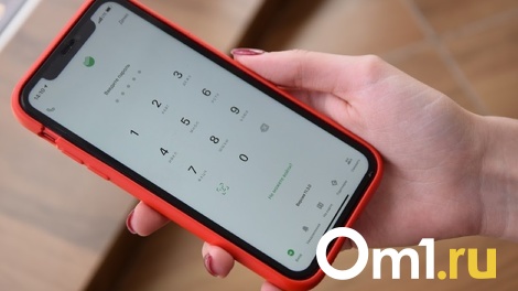 Омич выиграл смартфон в интернете, но после этого обратился в полицию