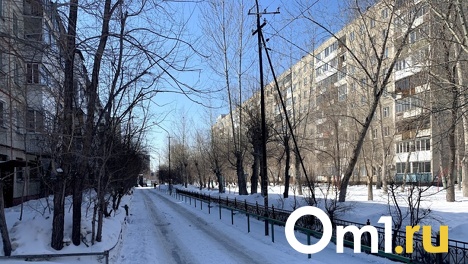 Омичи, недовольные снегом во дворах, могут на него пожаловаться