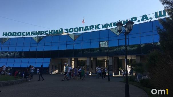 Пенсионерам бесплатно: фестиваль плова пройдёт в Новосибирском зоопарке