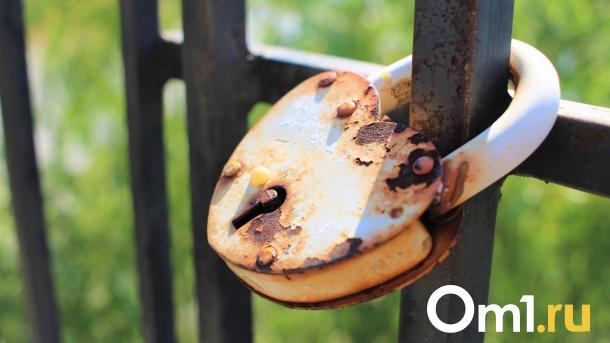 Омич поссорился с женой, приуныл и ограбил друга