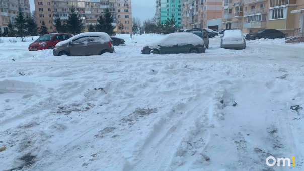 Рекордное количество снега выпало в Новосибирске 23 и 28 января