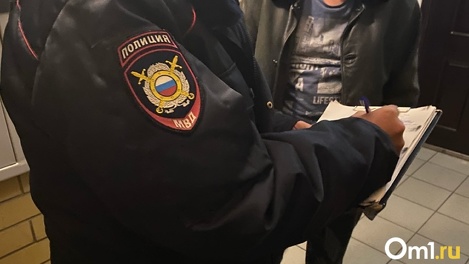 Не доехал до Москвы: в Омске задержали вора-гастролёра из Читы