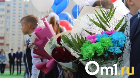 В Омске назвали микрорайоны, в которых чаще всего не хватает мест в школах