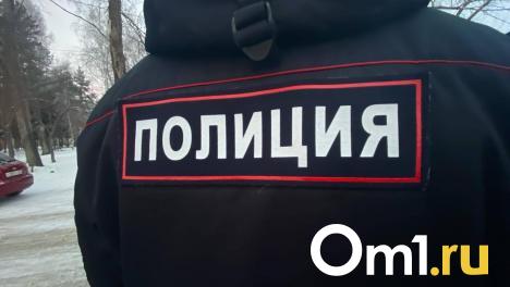 Брат омского депутата Заксобрания устроил драку в ресторане
