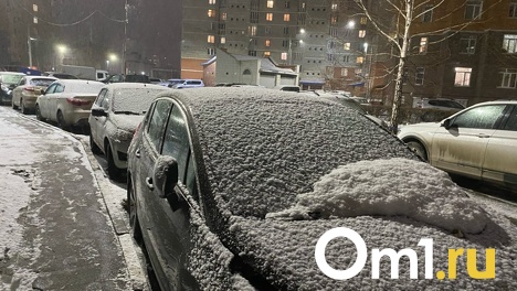 На Омск обрушился опасный снегопад со штормовым ветром. ФОТО, ВИДЕО