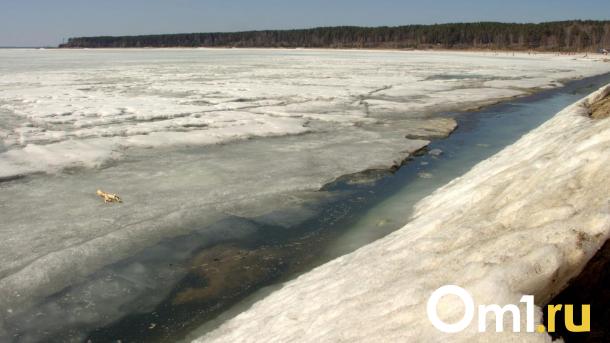 Лёд на реках начал таять в марте: половодье настигло водоёмы в Новосибирской области