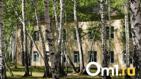 Пицца, тренажёры, новые шторы: в Омской области привели в порядок детские загородные лагеря