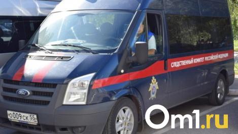 Бастрыкин взял на контроль дело о нарушении прав сироты под Новосибирском