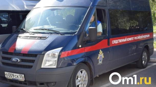 Бастрыкин взял на контроль дело о нарушении прав сироты под Новосибирском