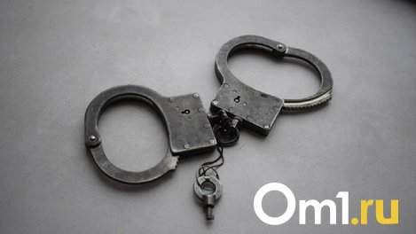 В Омске задержали банду фальшивых полицейских, собиравших с бизнеса миллионы