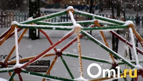 Морозы, оттепель и снегопады: каким будет конец зимы в Омске