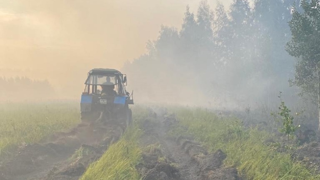 «Кто-то специально»: омские специалисты, боровшиеся с недавним лесным пожаром, поговаривают о поджигателях