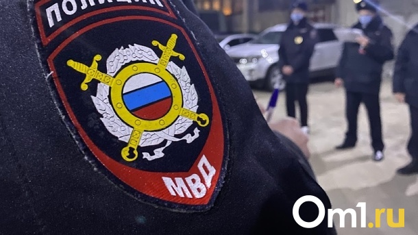Новосибирскому школьнику грозит уголовная ответственность за фейк о российских военных