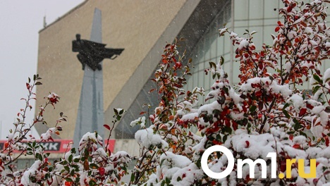Снеговик с цветочными глазками, заснеженные карусели и грустные собаки: в Омске выпал первый снег