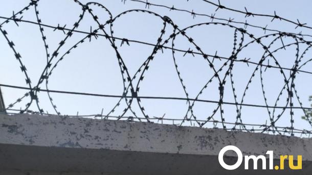 Соцсети: в омской колонии № 7 пытали и избивали осуждённого