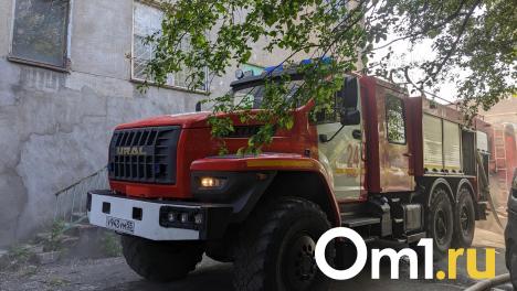 В селе Лузино Омского района загорелся производственный цех