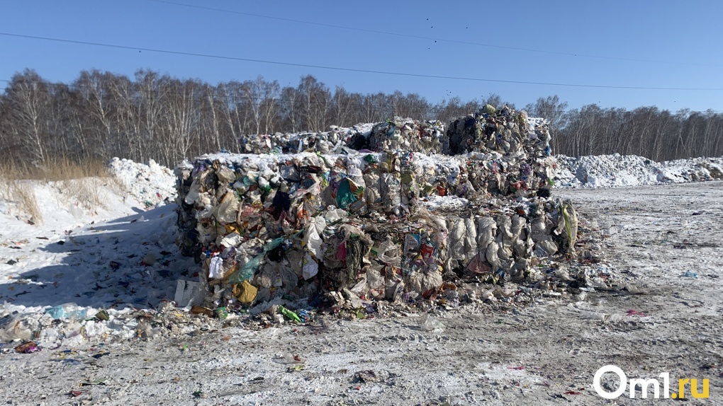 Крах мусорного оператора? «Экология-Новосибирск» заявила о самобанкротстве