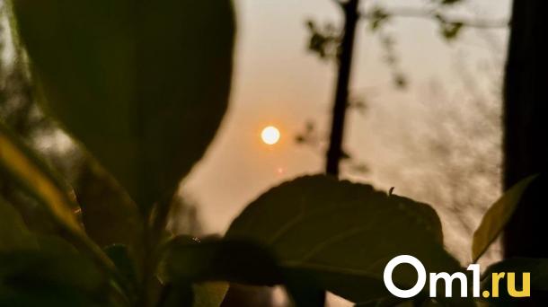 Сегодня на Омскую область обрушилась новая напасть