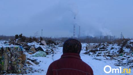 Омичи будут чаще болеть из-за плохой экологии