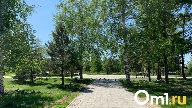 Опубликованы эскизы композиций выставки «Флора-2024»