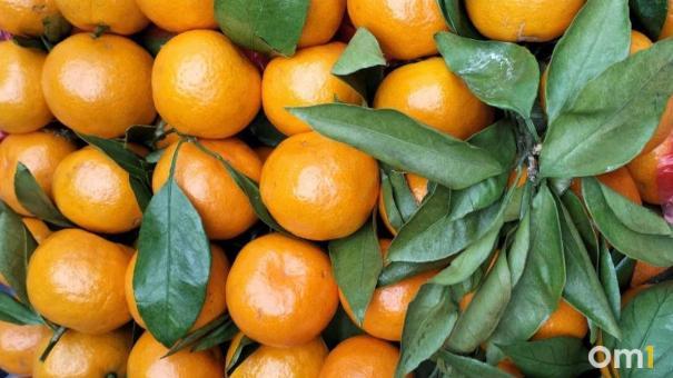 Мандарины на Новый год — 2024: как выбрать самые вкусные и сочные