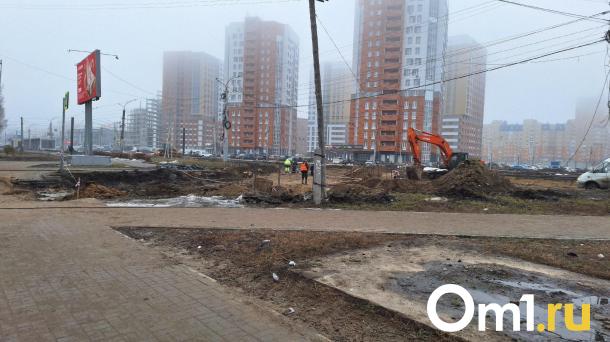 Омичи массово игнорируют запрет проезжать по бульвару Архитекторов