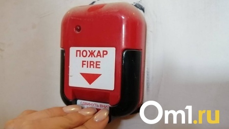 Мать погибшего в пожаре в Новосибирске 4-летнего мальчика не спешила спасать сына