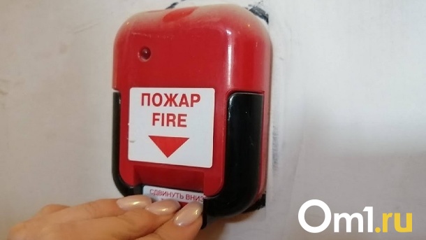 Мать погибшего в пожаре в Новосибирске 4-летнего мальчика не спешила спасать сына