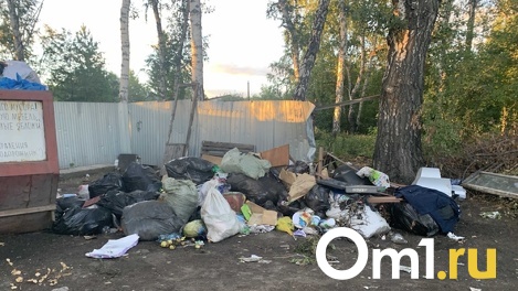 Омская область дополнительно получит сотни миллионов рублей на рекультивацию свалок