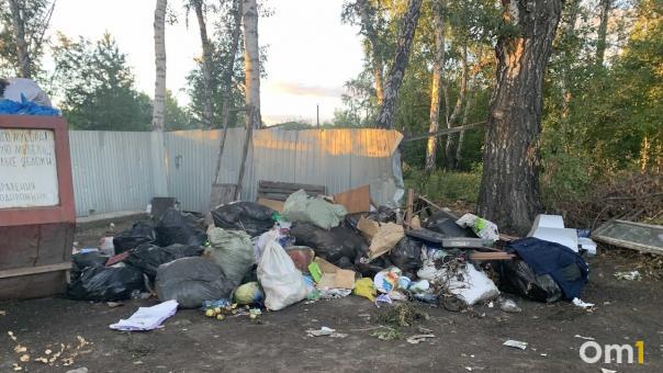 Омская область дополнительно получит сотни миллионов рублей на рекультивацию свалок