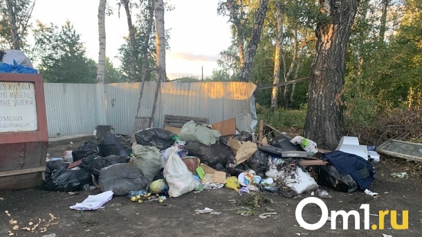 Омская область дополнительно получит сотни миллионов рублей на рекультивацию свалок