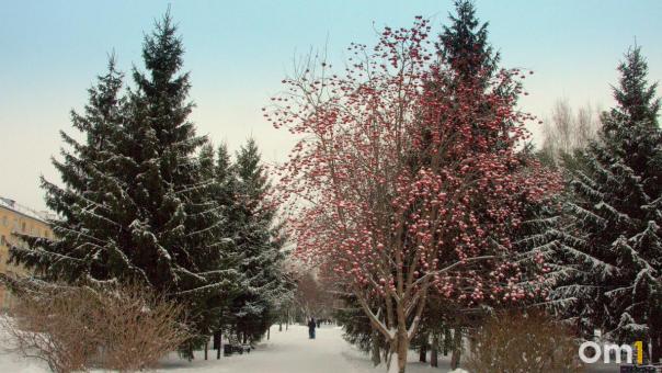 Метеоролог пообещала тёплую неделю в Подмосковье