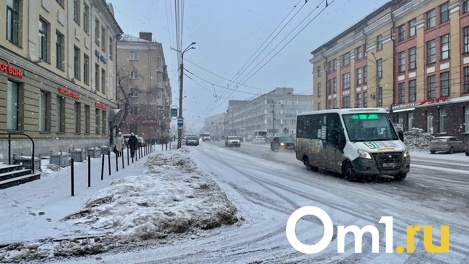 «Март всё же зимний месяц»: глава Гидрометцентра Вильфанд рассказал, когда омичам ждать прихода весны