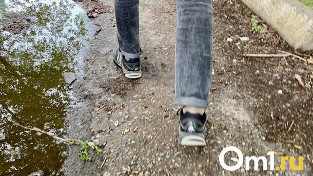 В центре города среди толпы прогуливался обнажённый омич