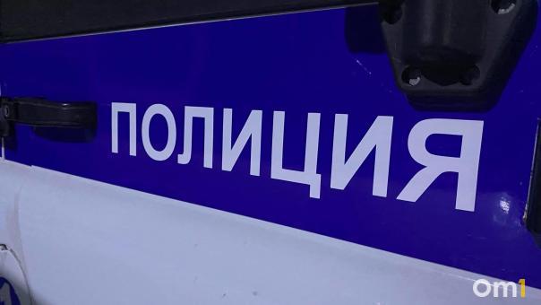 В МВД рассказали подробности трагедии с рухнувшим на палатку деревом в Новосибирской области