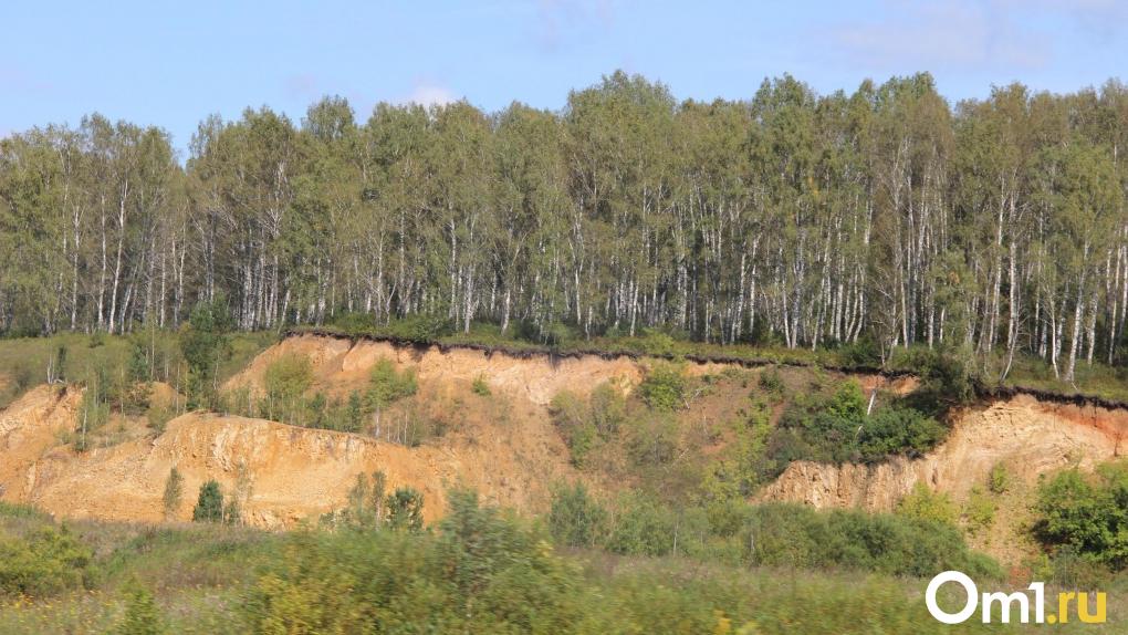 На севере Омской области запустили треккинговый маршрут по тайге