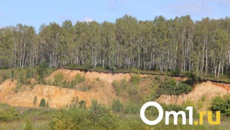 На севере Омской области запустили треккинговый маршрут по тайге