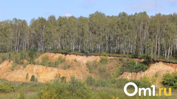 На севере Омской области запустили треккинговый маршрут по тайге