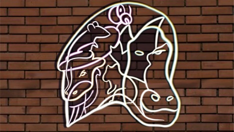 «Селфинарий»: о каких социальных проблемах могут заговорить животные в московском баре в Новосибирске