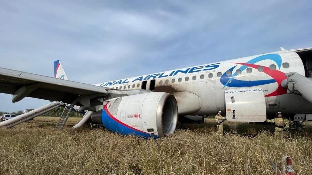 На месте аварийной посадки самолёта «Уральских авиалиний» построят городок