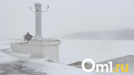Шквалистый ветер. Омичей предупредили о непогоде
