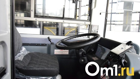 В трёх деревнях Омской области нет автобусов, чтоб добраться до города