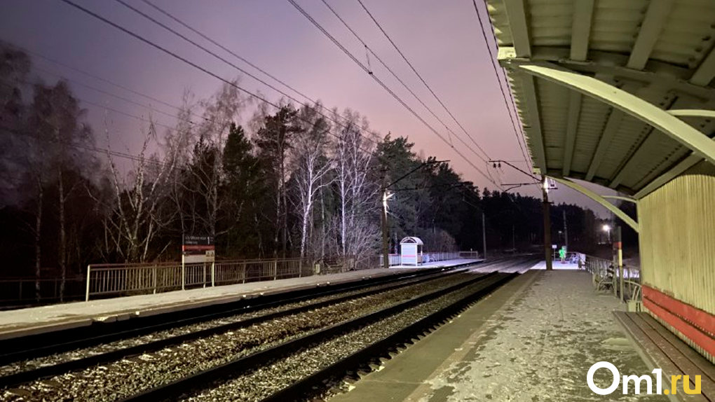 Застрявшую в дверях электрички женщину протащило по станции Новосибирск-Западный