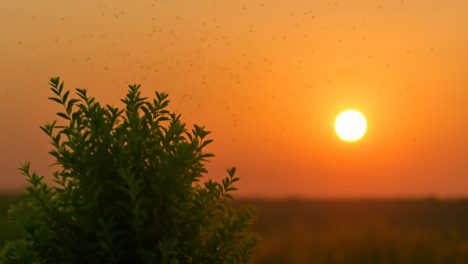 Температура и феромоны: омский энтомолог рассказала, кого чаще кусают комары