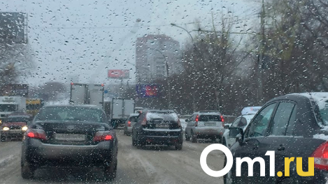 О перекрытии левого берега в новогодние каникулы рассказали новосибирцам