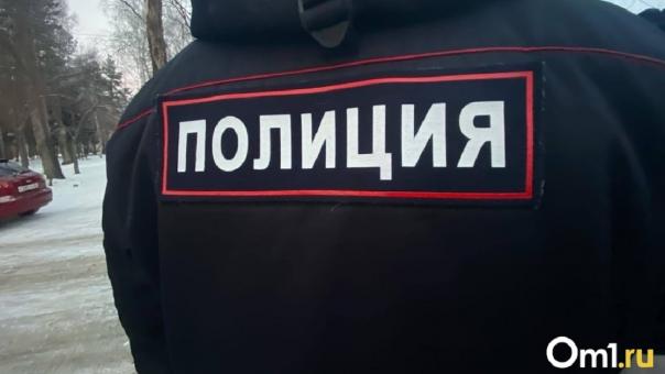 Молодого омича обвинили в нападении на полицейского
