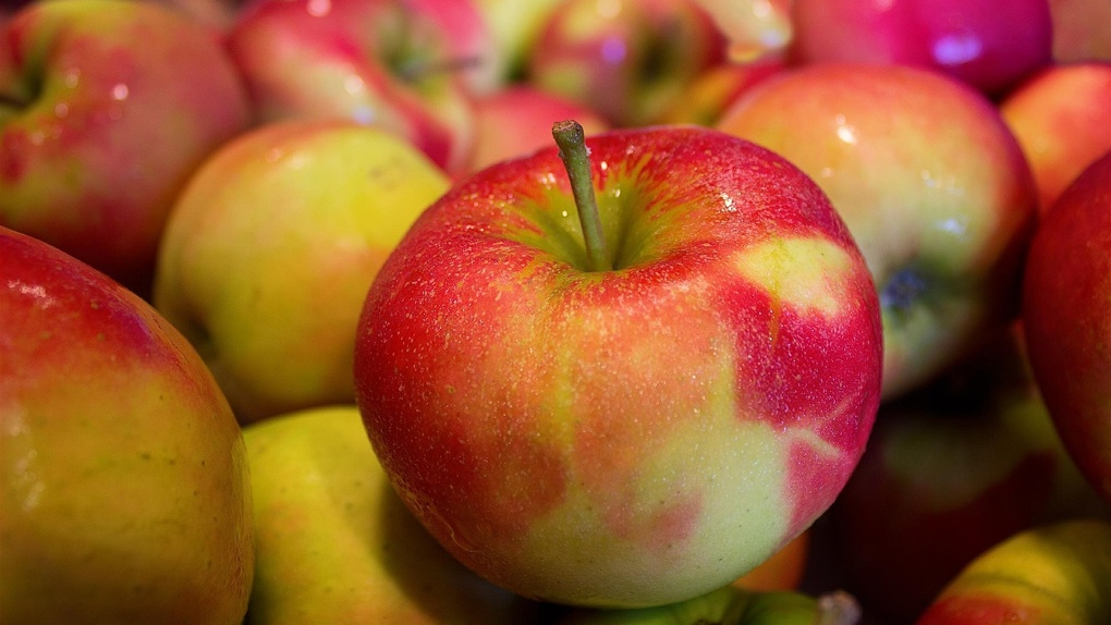 На мусорном полигоне в Омске уничтожили 40 тонн польских яблок